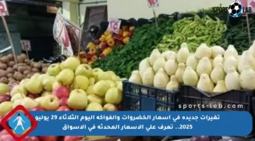 تغيرات جديدة في أسعار الخضروات والفواكه اليوم الثلاثاء 29 يوليو 2025.. تعرف على الأسعار المحدثة في الأسواق